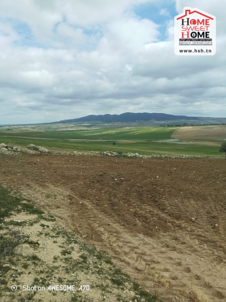 Le Kef Est Bahra Terrain Terrain agricole Terrain agricole orkun  kef