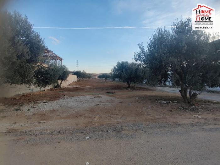 Ariana Ville Ariana Terrain Terrain nu Terrain  camellia  kalet el andalous