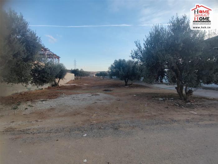 Ariana Ville Ariana Terrain Terrain nu Terrain  camellia  kalet el andalous