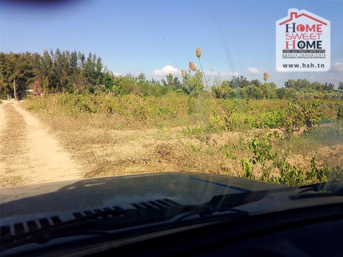 Nabeul Nabeul Terrain Terrain agricole Terrain agricole rahaf  nabeul