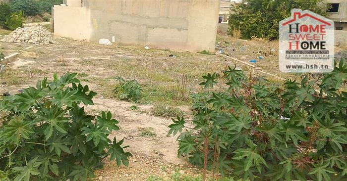 Le Kef Est Le Kef Terrain Terrain nu Terrain villa auraka  cit el bassatine le kef