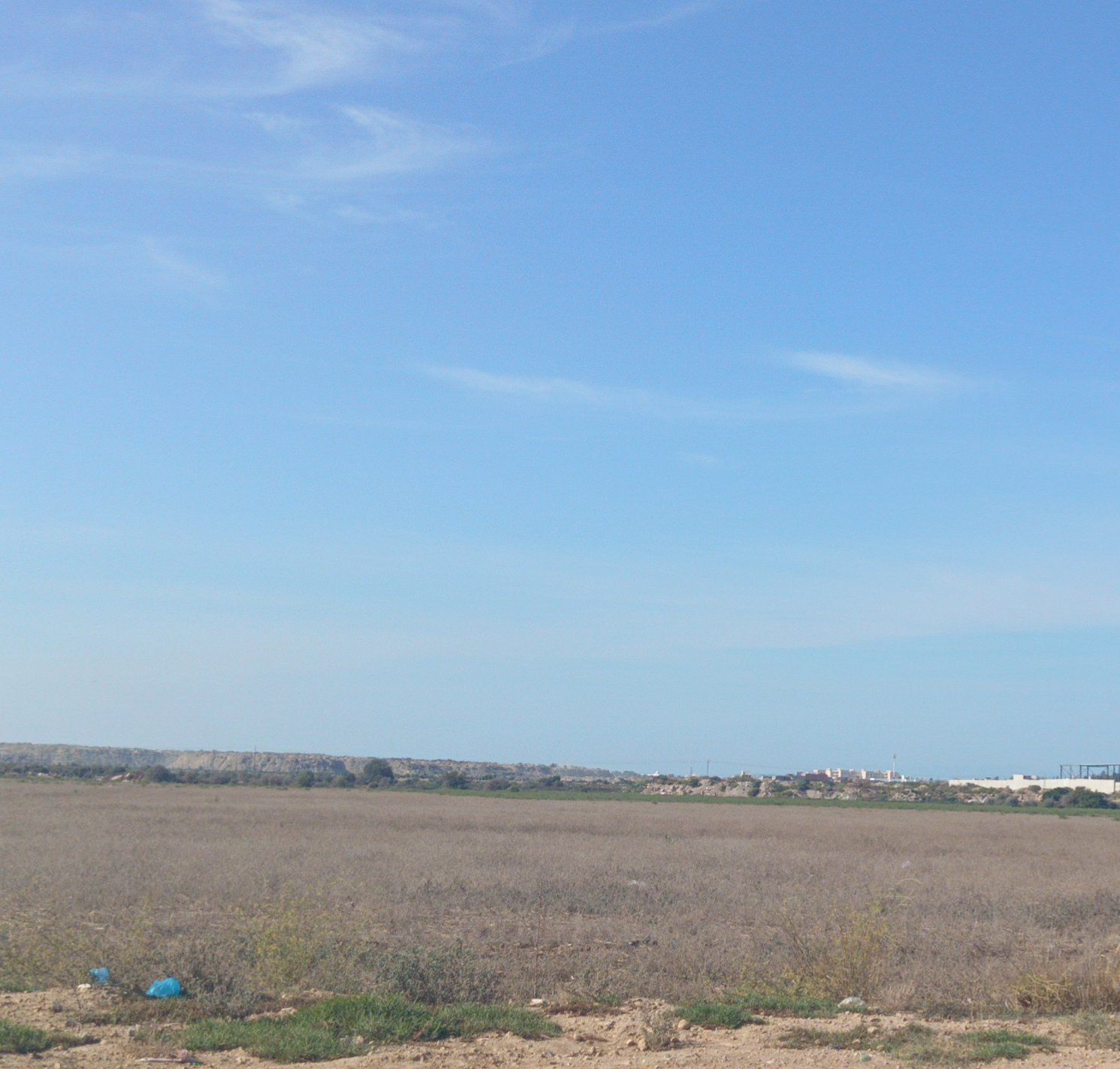Raoued Raoued Vente Autre Terrain a bhar lazreg