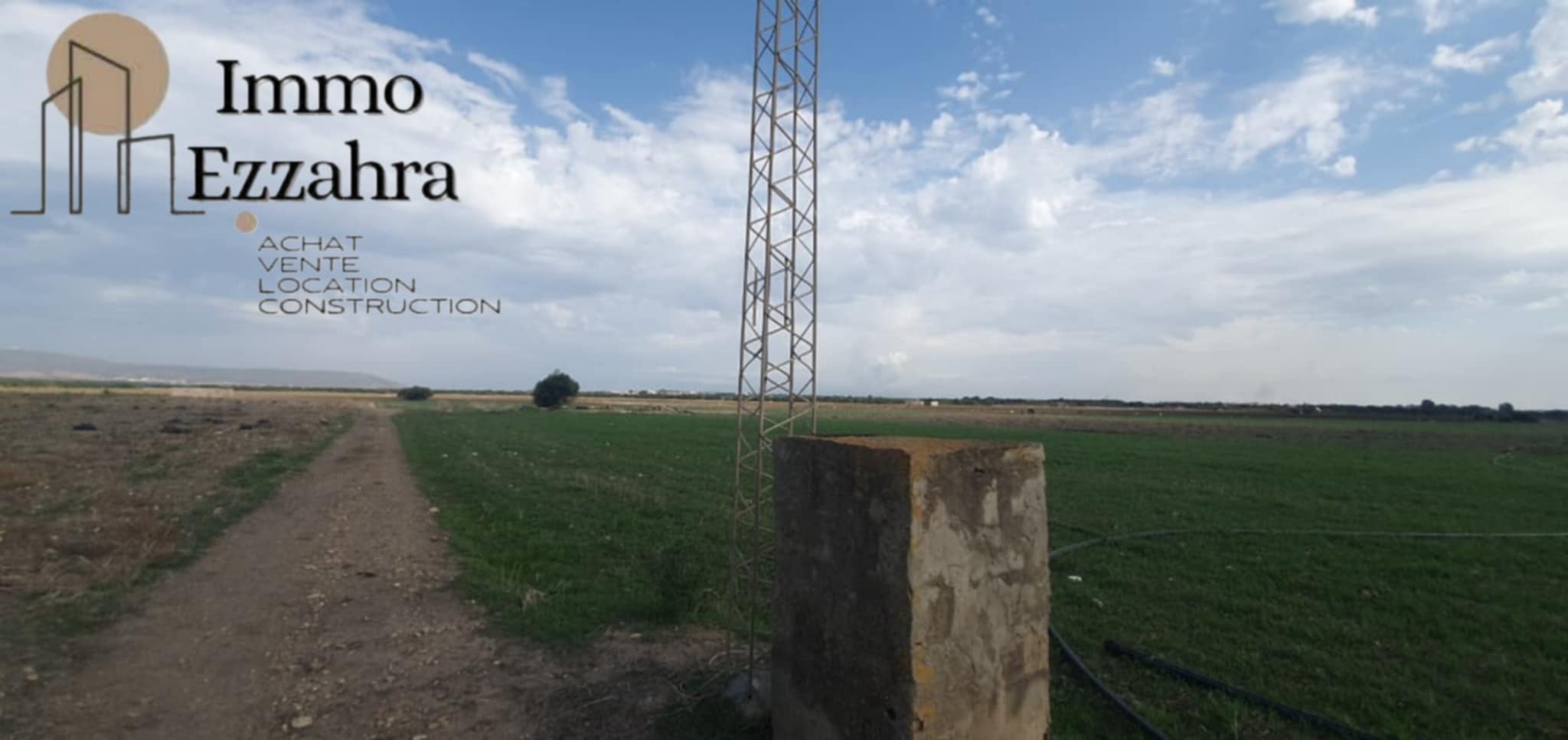 El Haouaria El Haouaria Terrain Terrain agricole Terrain agricole  aban el haouaria