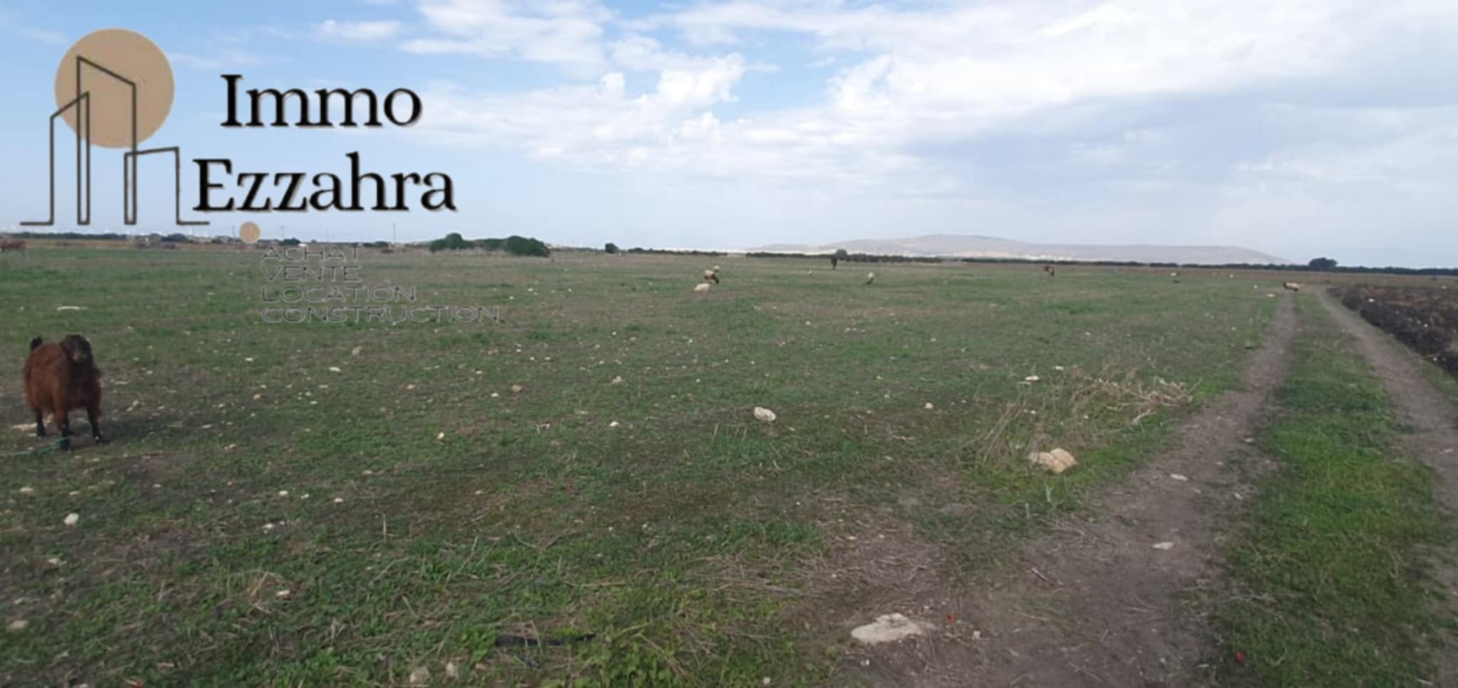 El Haouaria El Haouaria Terrain Terrain agricole Terrain agricole  aban el haouaria