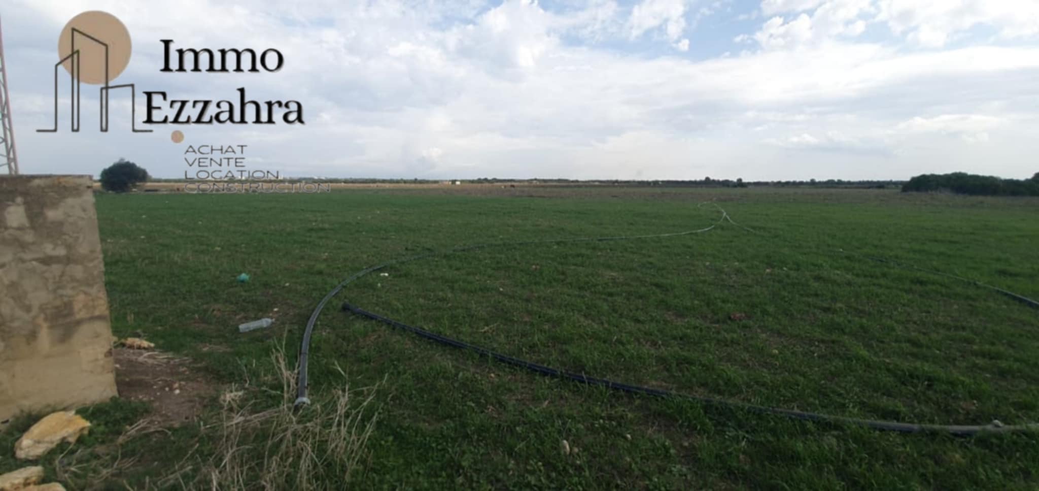 El Haouaria El Haouaria Terrain Terrain agricole Terrain agricole  aban el haouaria