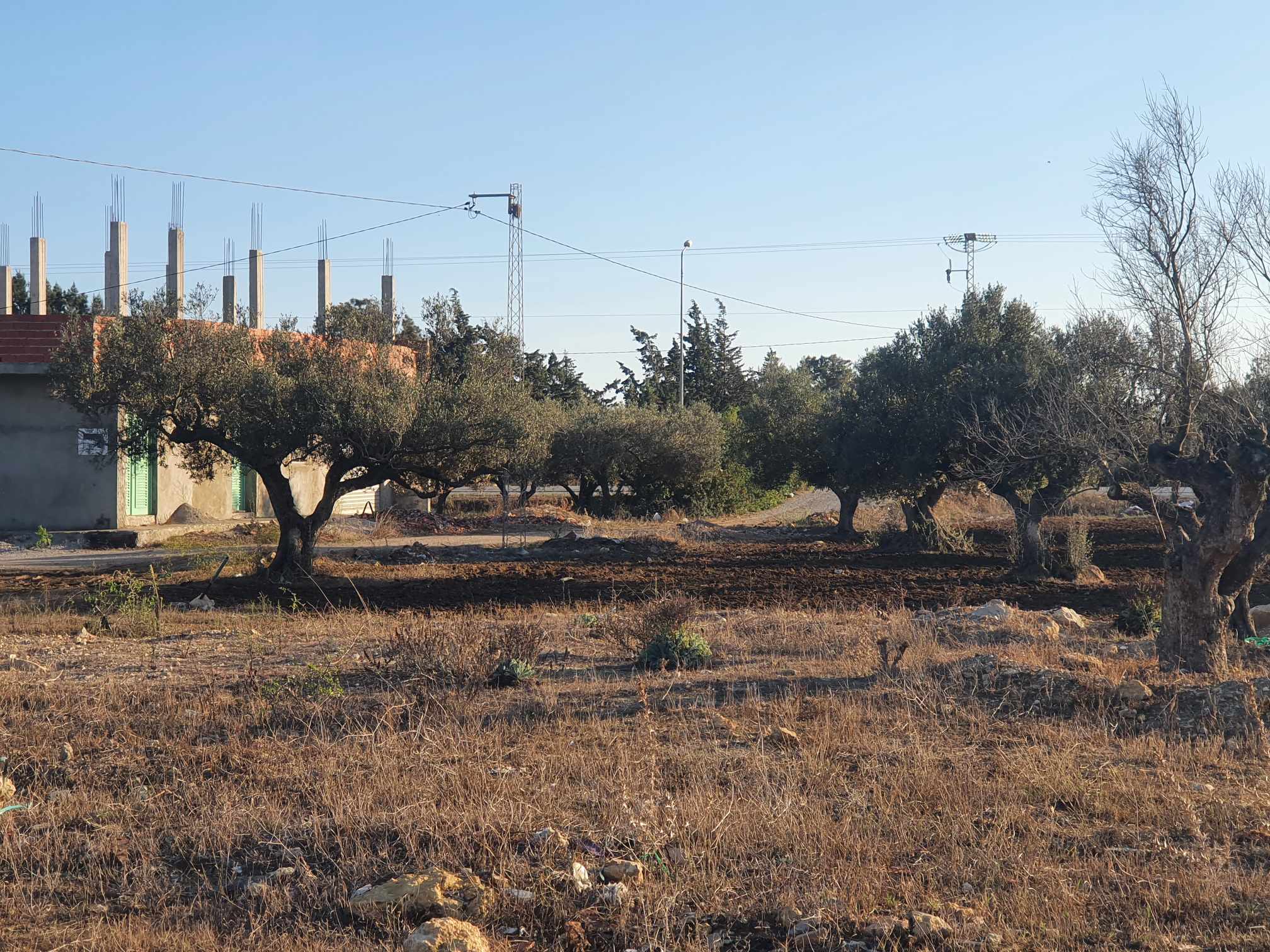 Kelibia Oued El Khatef Terrain Terrain nu Terrain  oued el khataf klibia