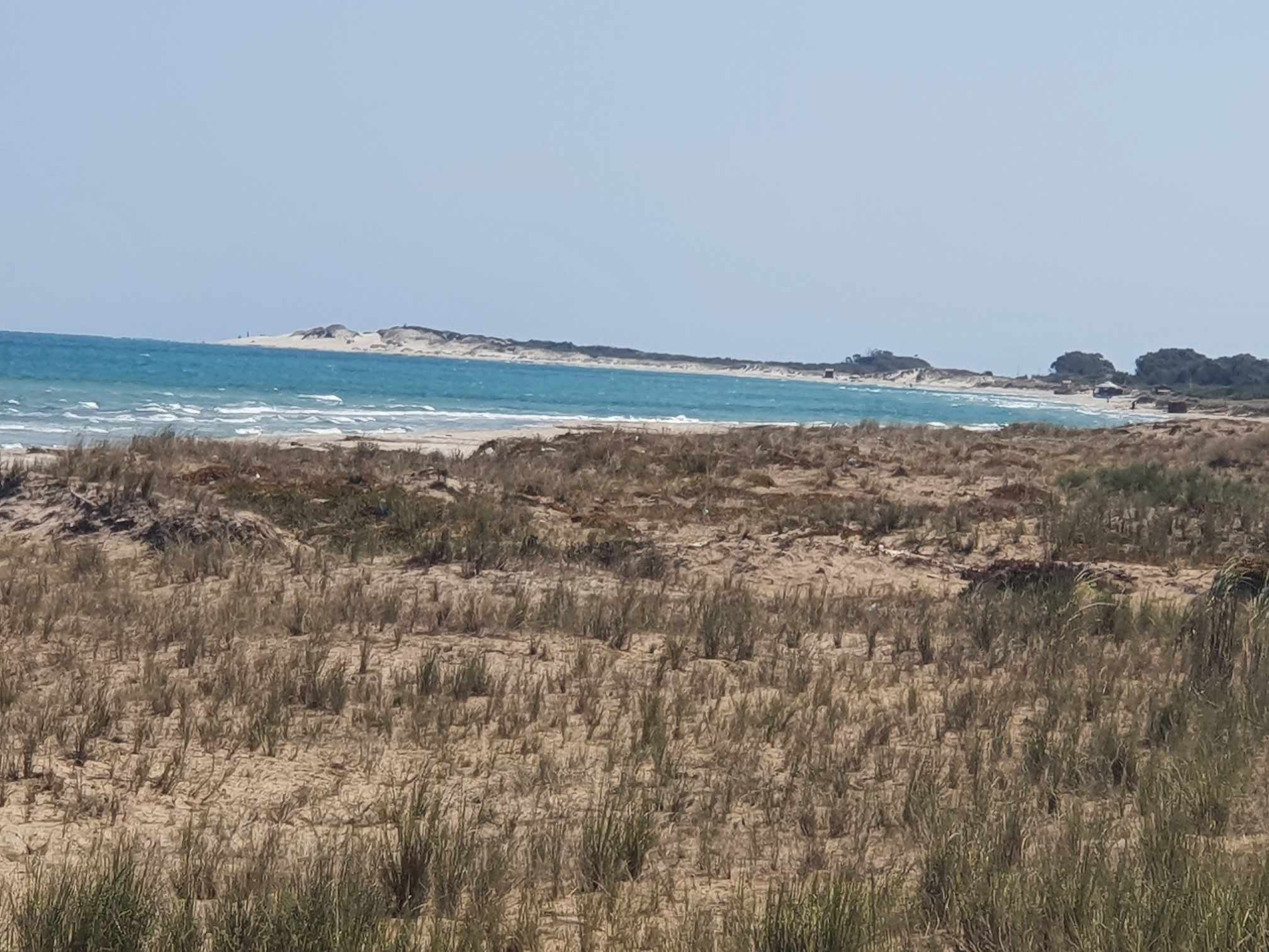 Hammam El Ghezaz Ezzahra Terrain Terrain nu Lots loin de la mer  ezzahra klibia