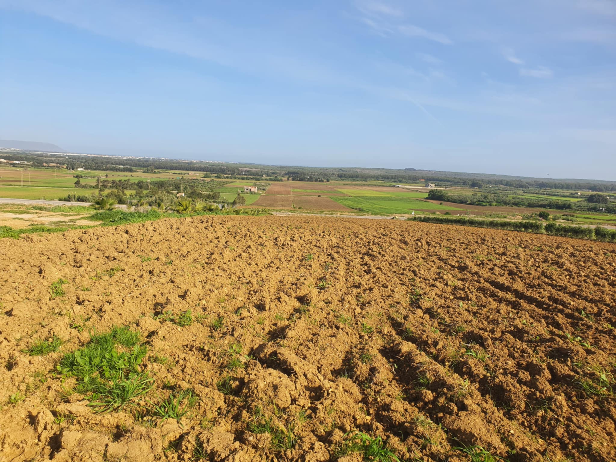 Kelibia Azmour Terrain Terrain agricole Terrain agricole sur la route klibia azmour
