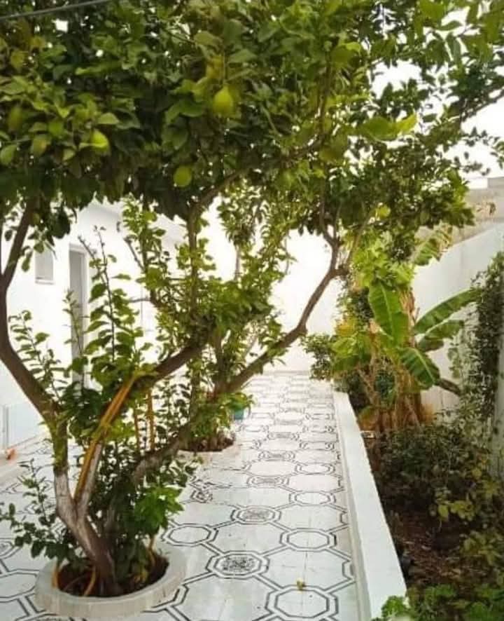 Menzel Bourguiba Menzel Bourguiba Vente Maisons Charmante villa  manzel bourguiba