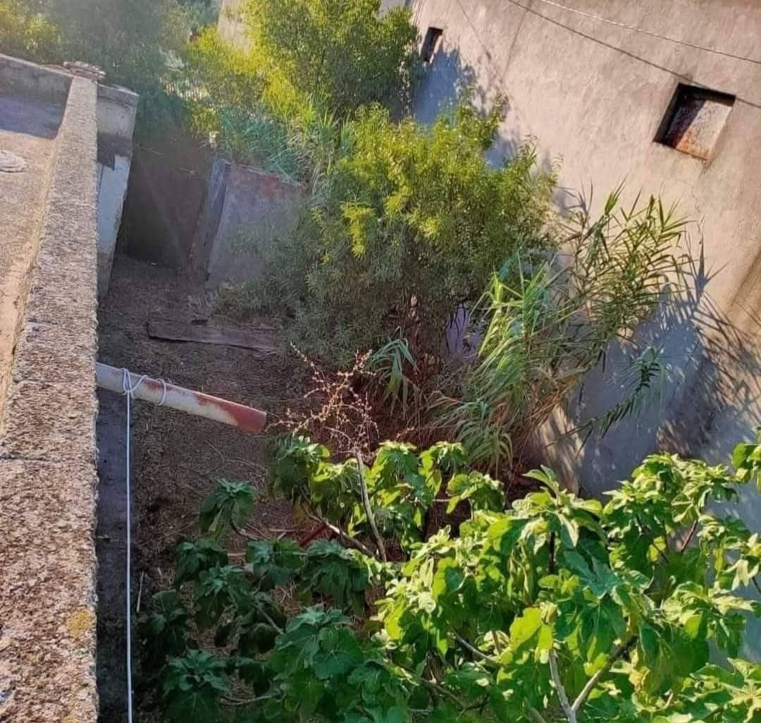 Utique Ain Ghelal Vente Maisons Immeuble magnifique  ain ghlel