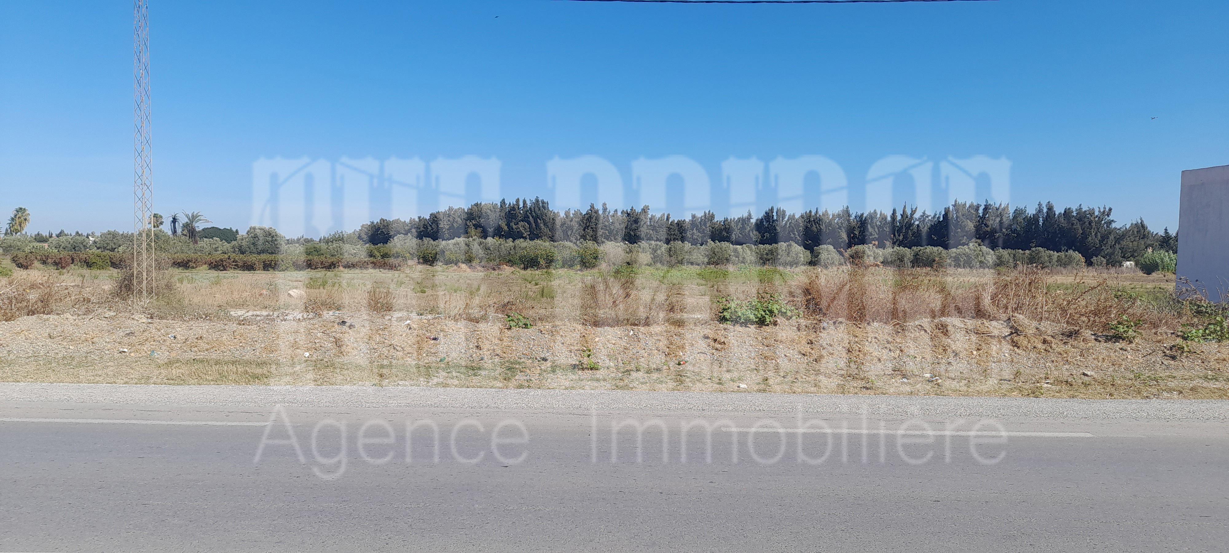 Grombalia Turki Terrain Terrain nu 425 mc  turki sur la route r27