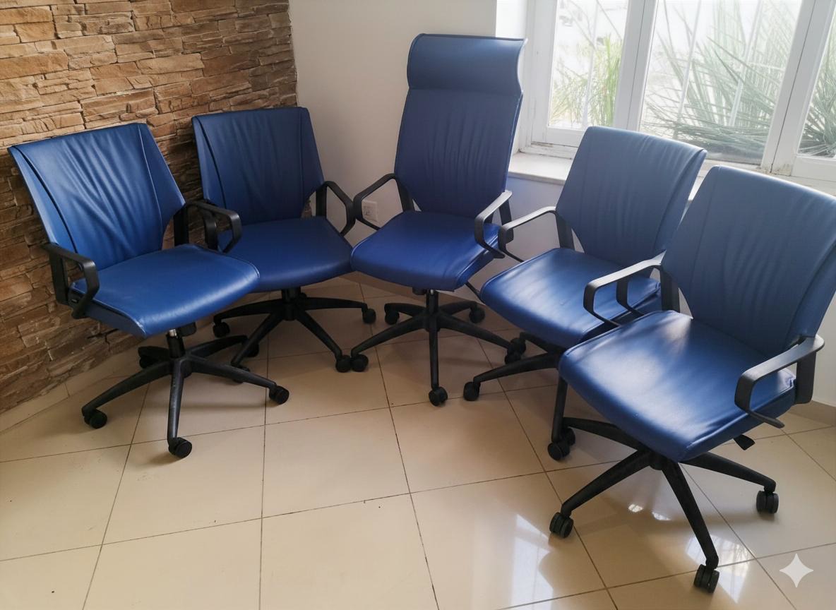 La Marsa Marsa Ennassim Meubles de bureau Sieges de Bureau 1 siege de direction  et 4 chaises de bureau