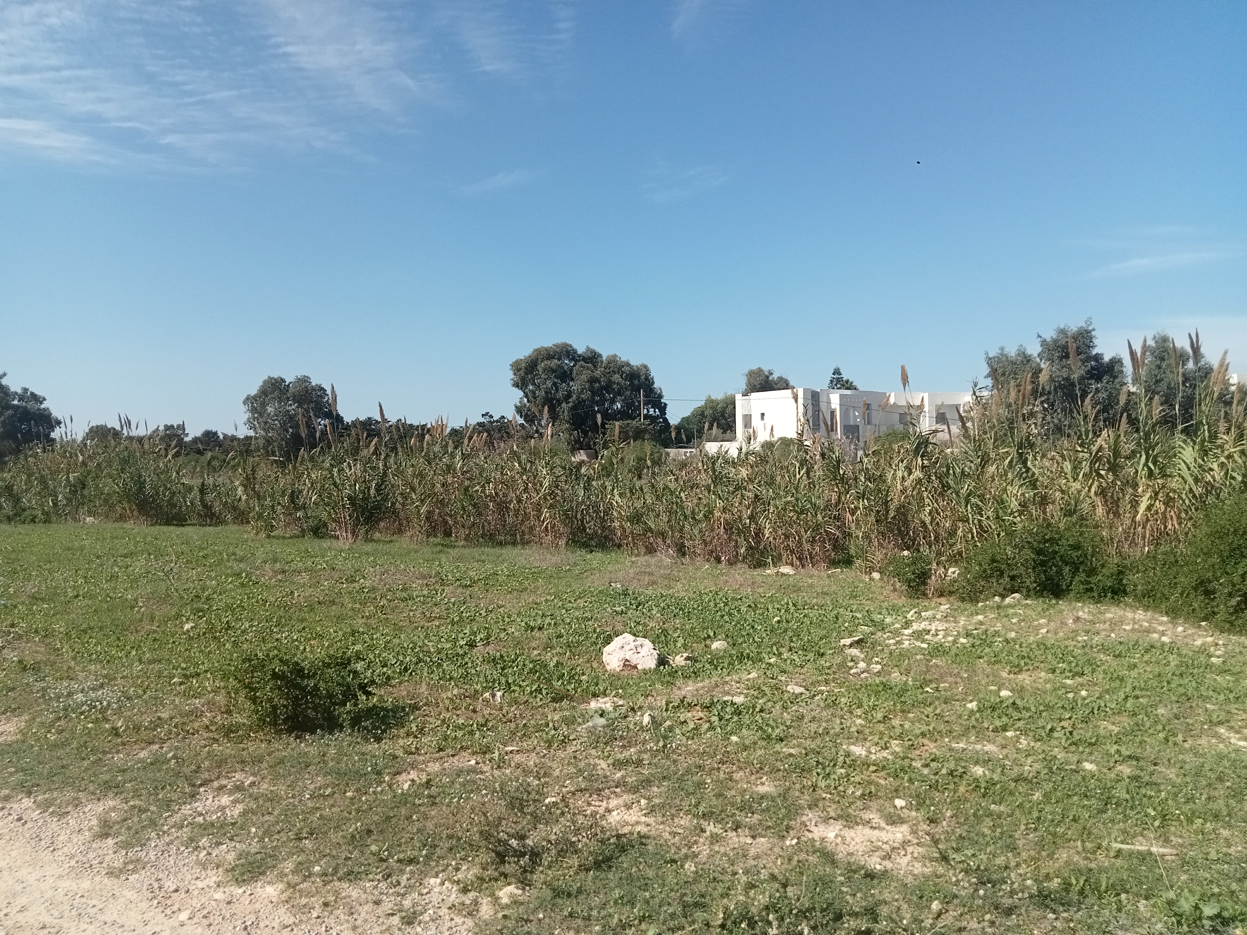 Hammam El Ghezaz Ezzahra Terrain Terrain nu Des terrains pieds dans l'eau