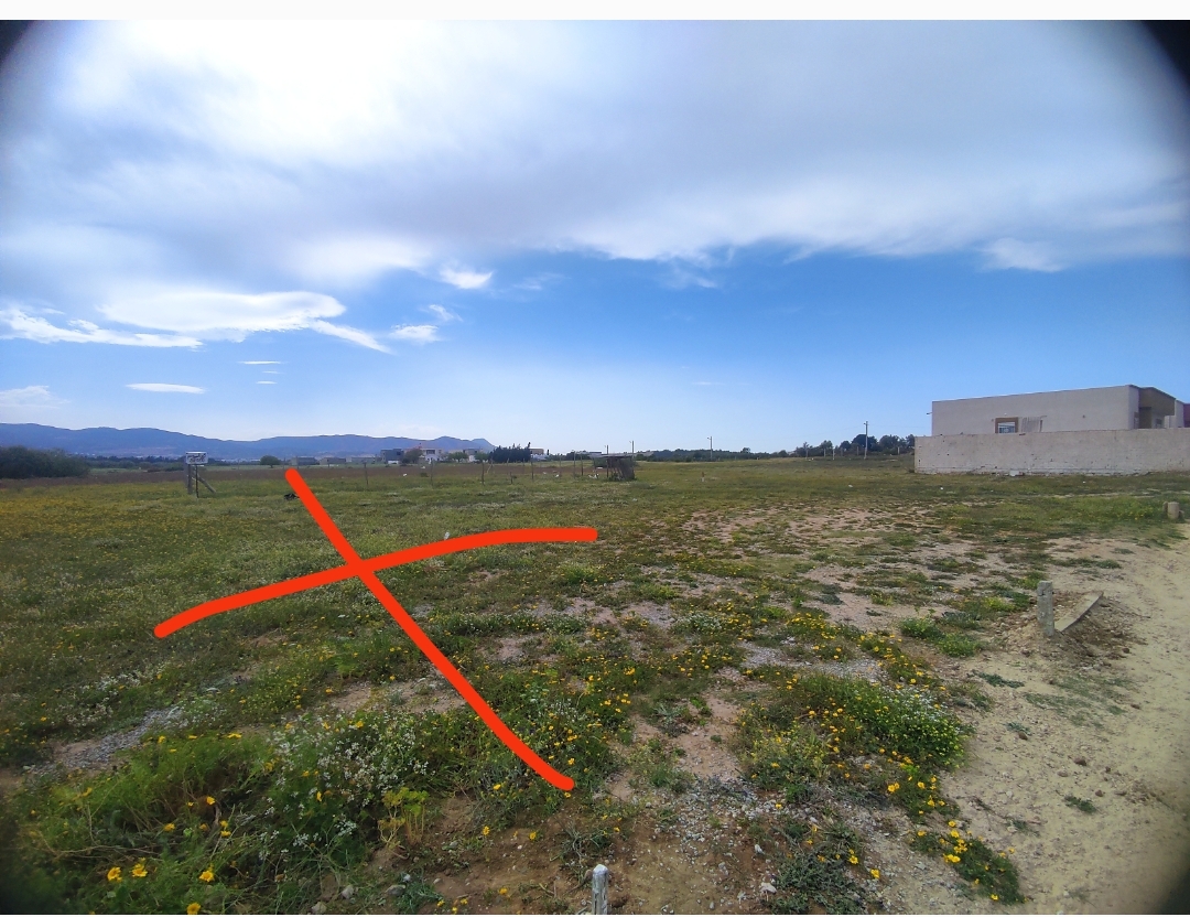 Soliman Dhahri Terrain Terrain nu Trs beau terrain d avenir