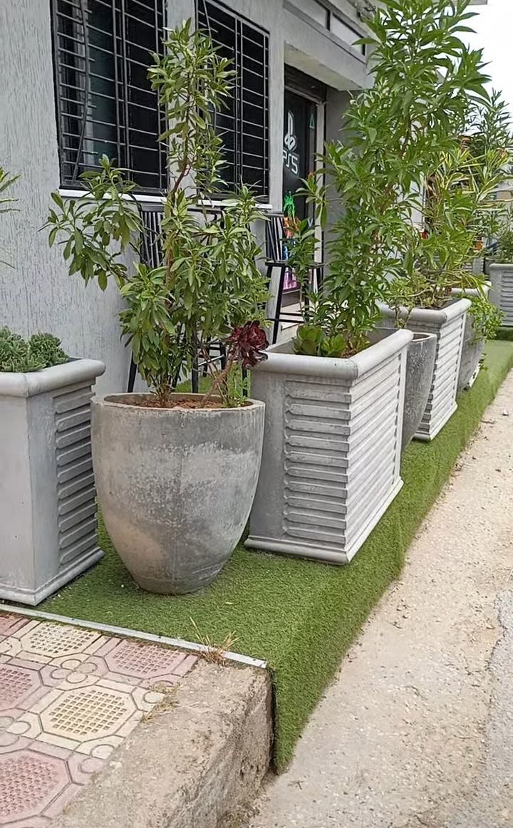 Ariana Ville El Menzah 5 Bureaux & Commerces Fond de Commerce Fond de commerce el menzah 5