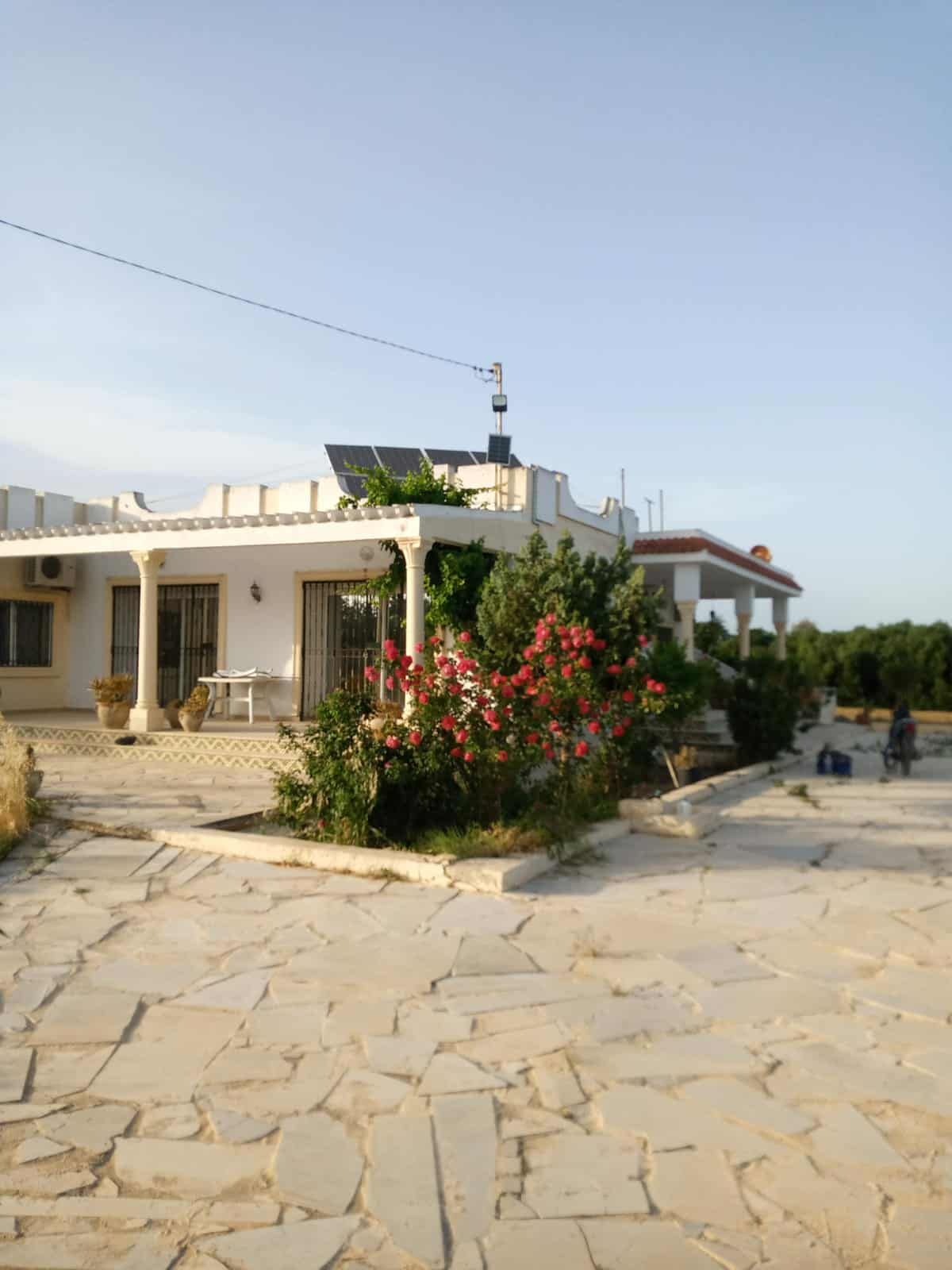 Bizerte Nord Bizerte Terrain Terrain agricole Ferme et villa sur la route principale d'utique