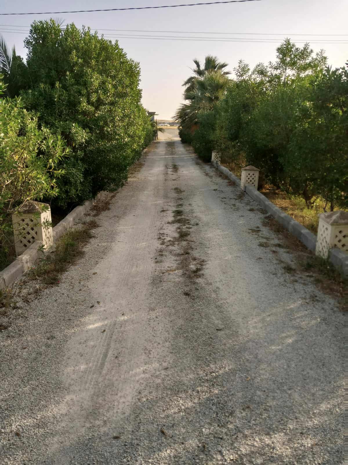 Bizerte Nord Bizerte Terrain Terrain agricole Ferme et villa sur la route principale d'utique