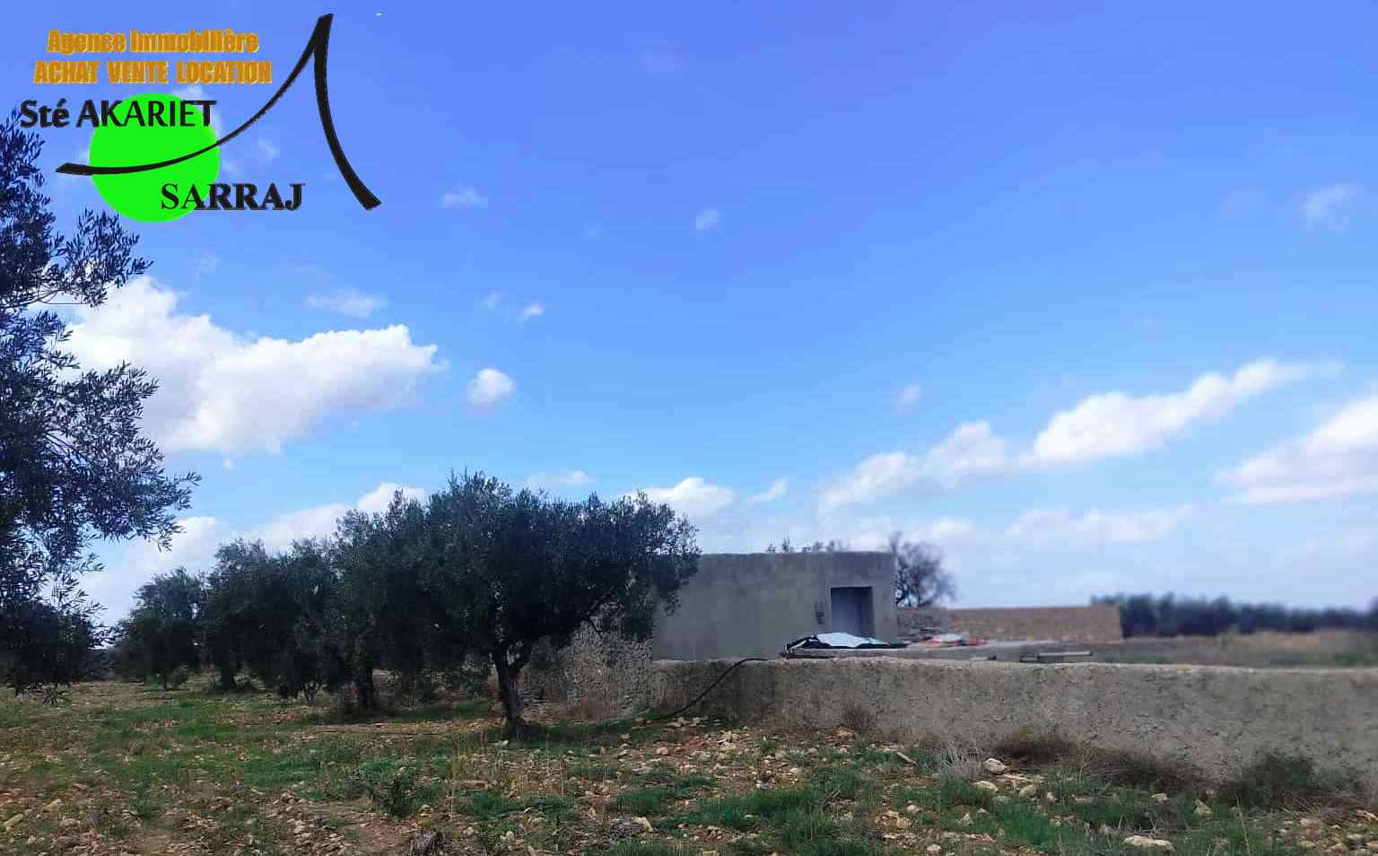 Kalaa El Kebira El Kraria Terrain Terrain agricole Senia 8 hectares et 6000m  kalaa kebira el kraria