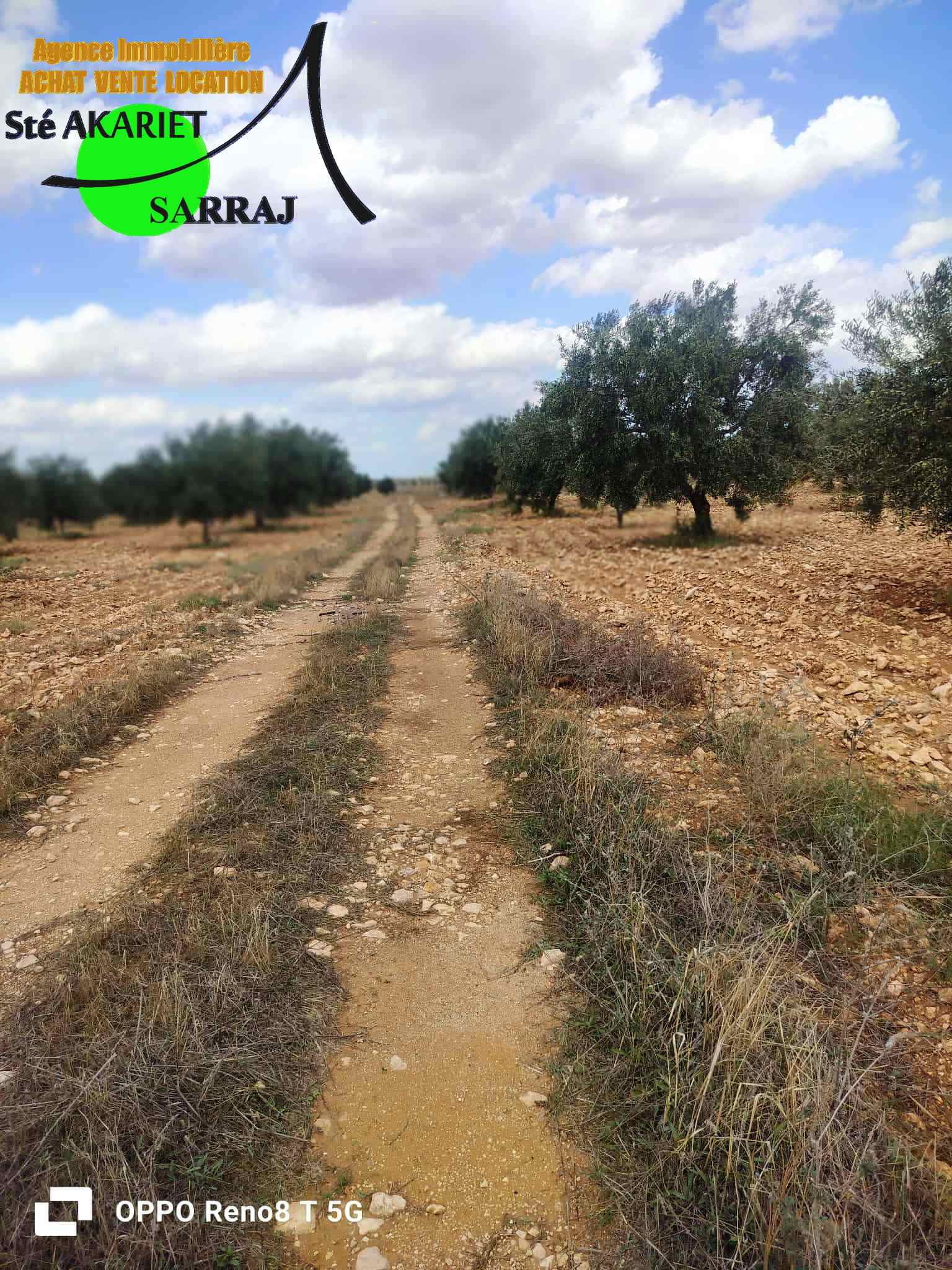 Kalaa El Kebira El Kraria Terrain Terrain agricole Senia 8 hectares et 6000m  kalaa kebira el kraria