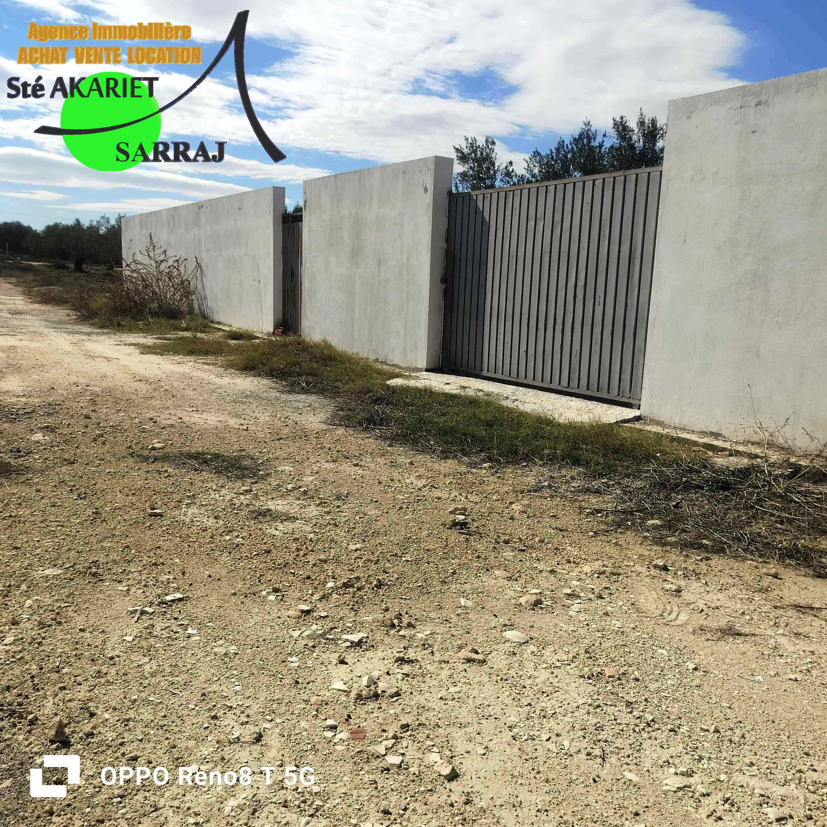Akouda Chatt Meriem Terrain Terrain agricole Trs bon offre terrain cltur 1000m  rmila