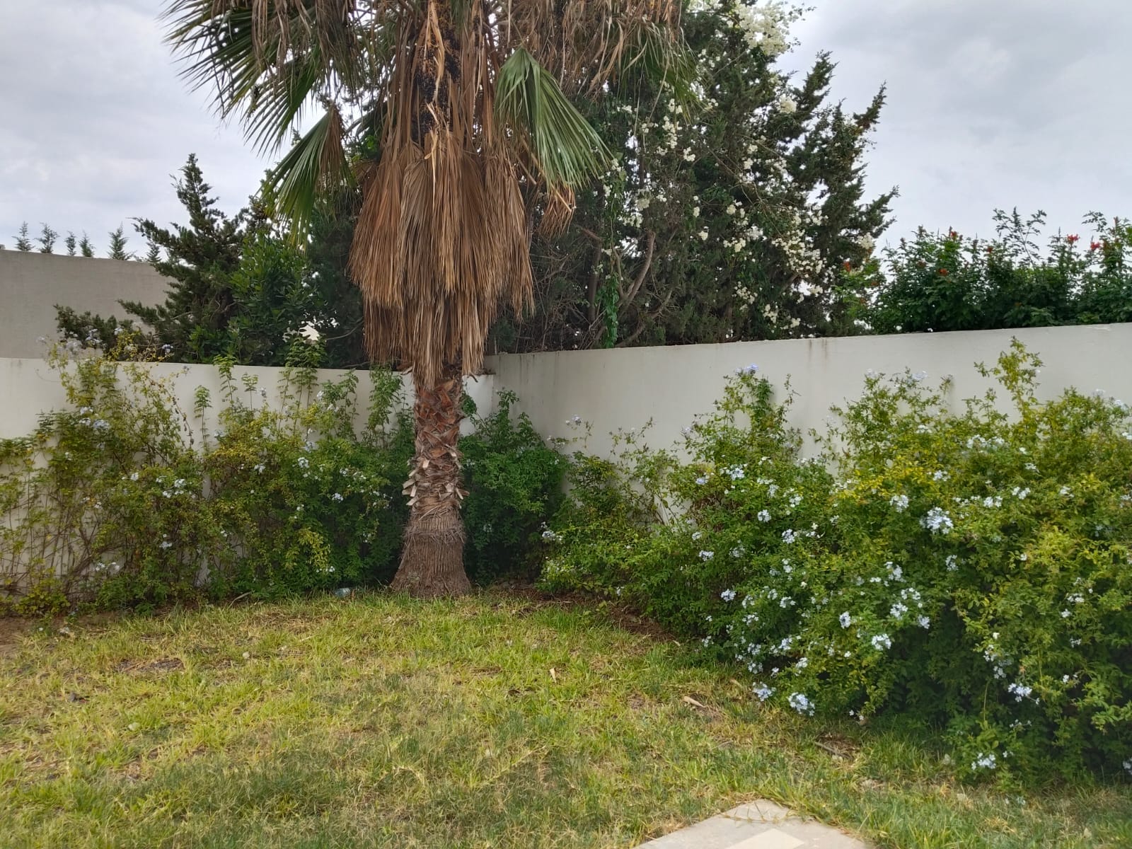 La Marsa El Aouina Vente Duplex Aouina vnt duplex dir promoteur