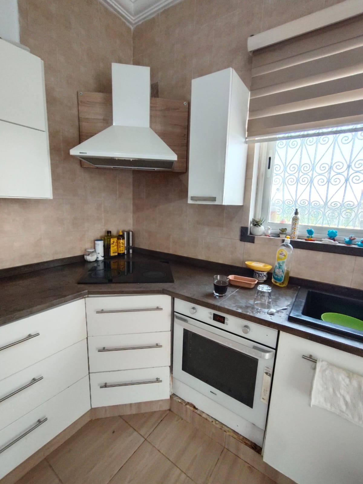 Sidi Thabet Borj Youssef Vente Maisons Ariana borj youssef vnt villa ref 1562