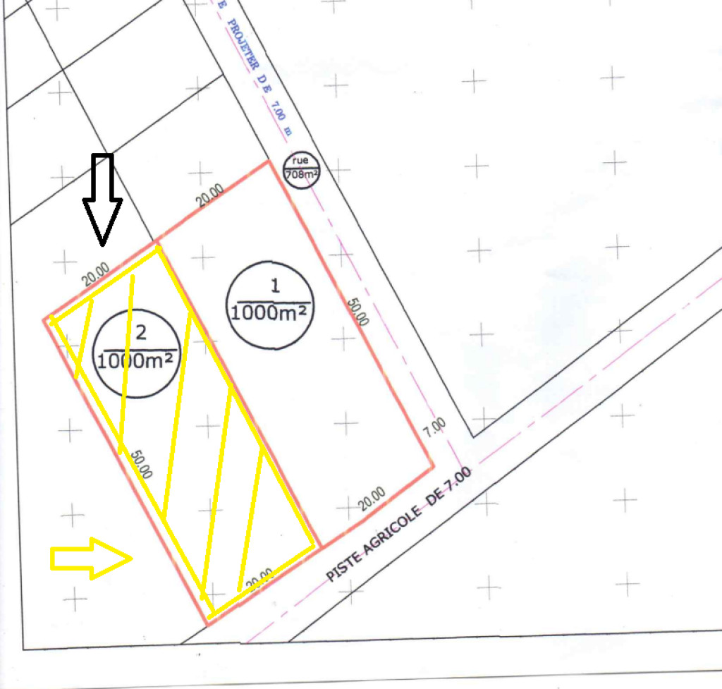 Grombalia Fondouk Jedid Terrain Terrain agricole Terrain agricole titr 100 m2