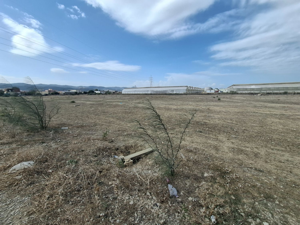 Grombalia Fondouk Jedid Terrain Terrain agricole Terrain agricole titr 100 m2