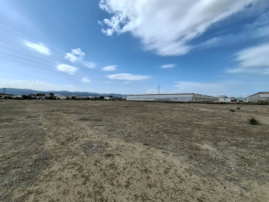 Grombalia Fondouk Jedid Terrain Terrain agricole Terrain agricole titr 100 m2
