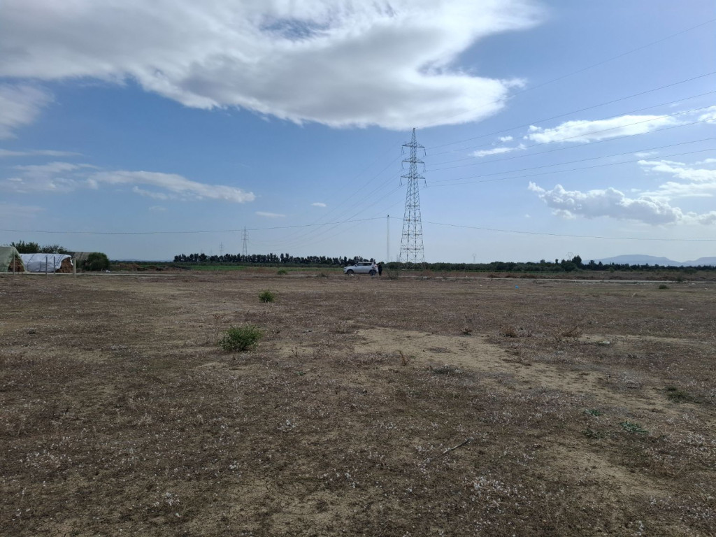 Grombalia Fondouk Jedid Terrain Terrain agricole Terrain agricole titr 100 m2