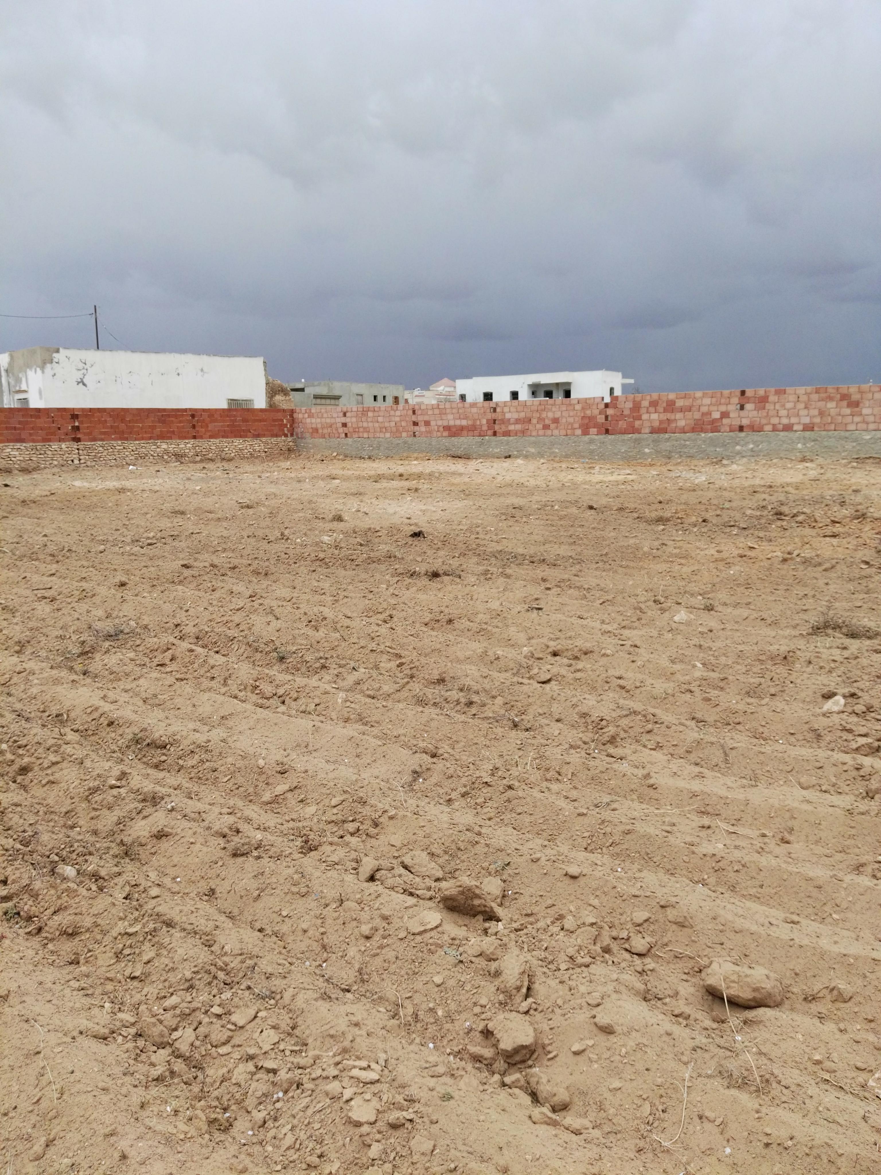 Sakiet Ezzit Sakiet Ezzit Terrain Terrain nu Terrain  route de tunis  zanket ben hmedou sfax