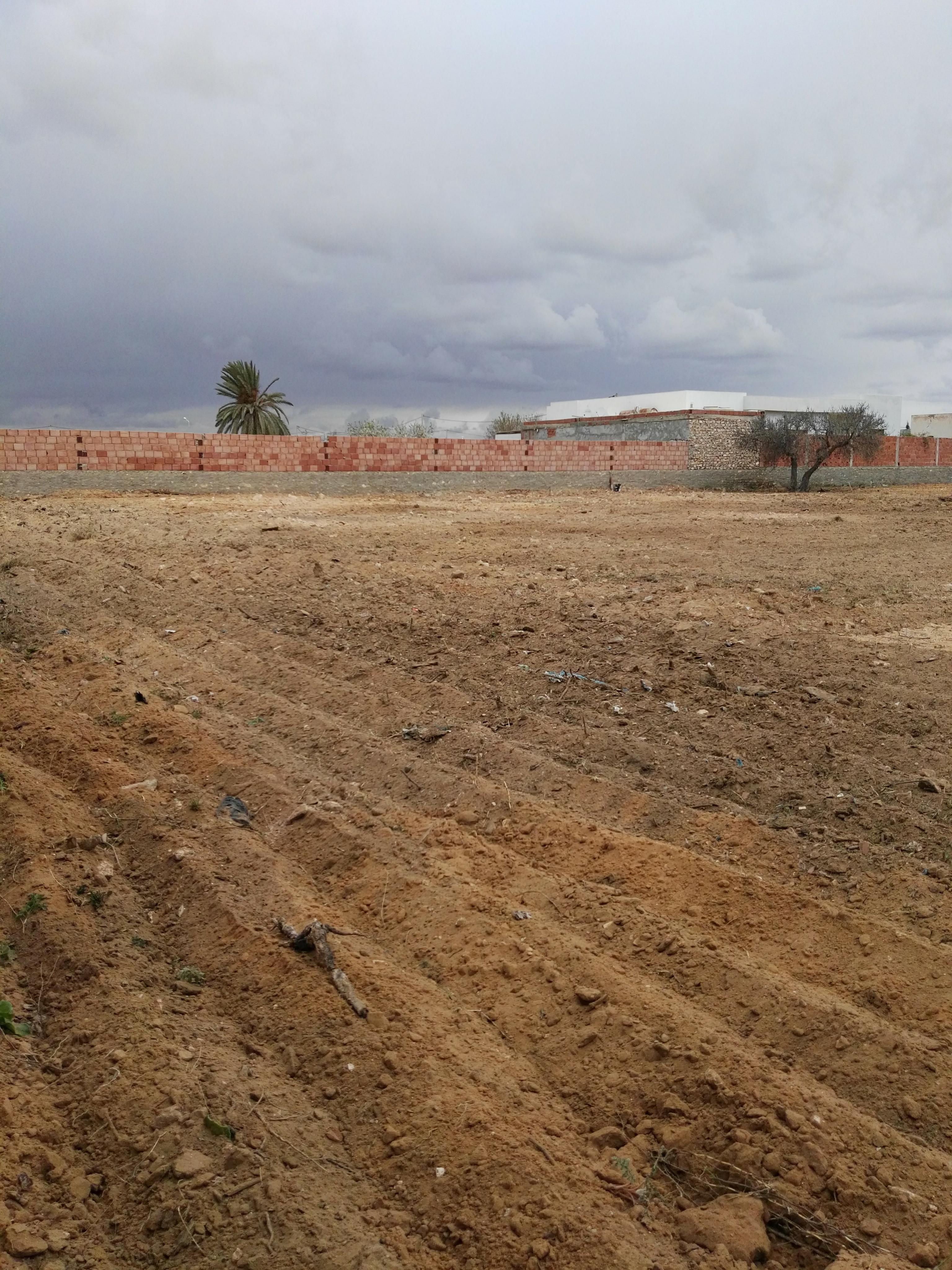 Sakiet Ezzit Sakiet Ezzit Terrain Terrain nu Terrain  route de tunis  zanket ben hmedou sfax