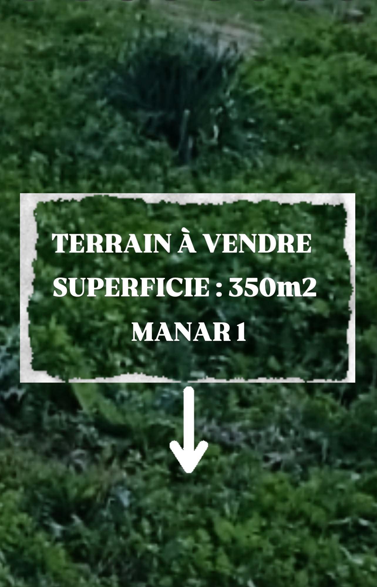 El Menzah El Manar 1 Terrain Terrain nu Terrain 420 md manar 1