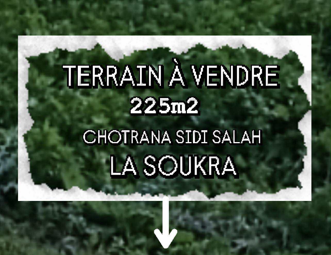 La Soukra Sidi Salah Terrain Terrain nu Terrain 190 md chotrana 3