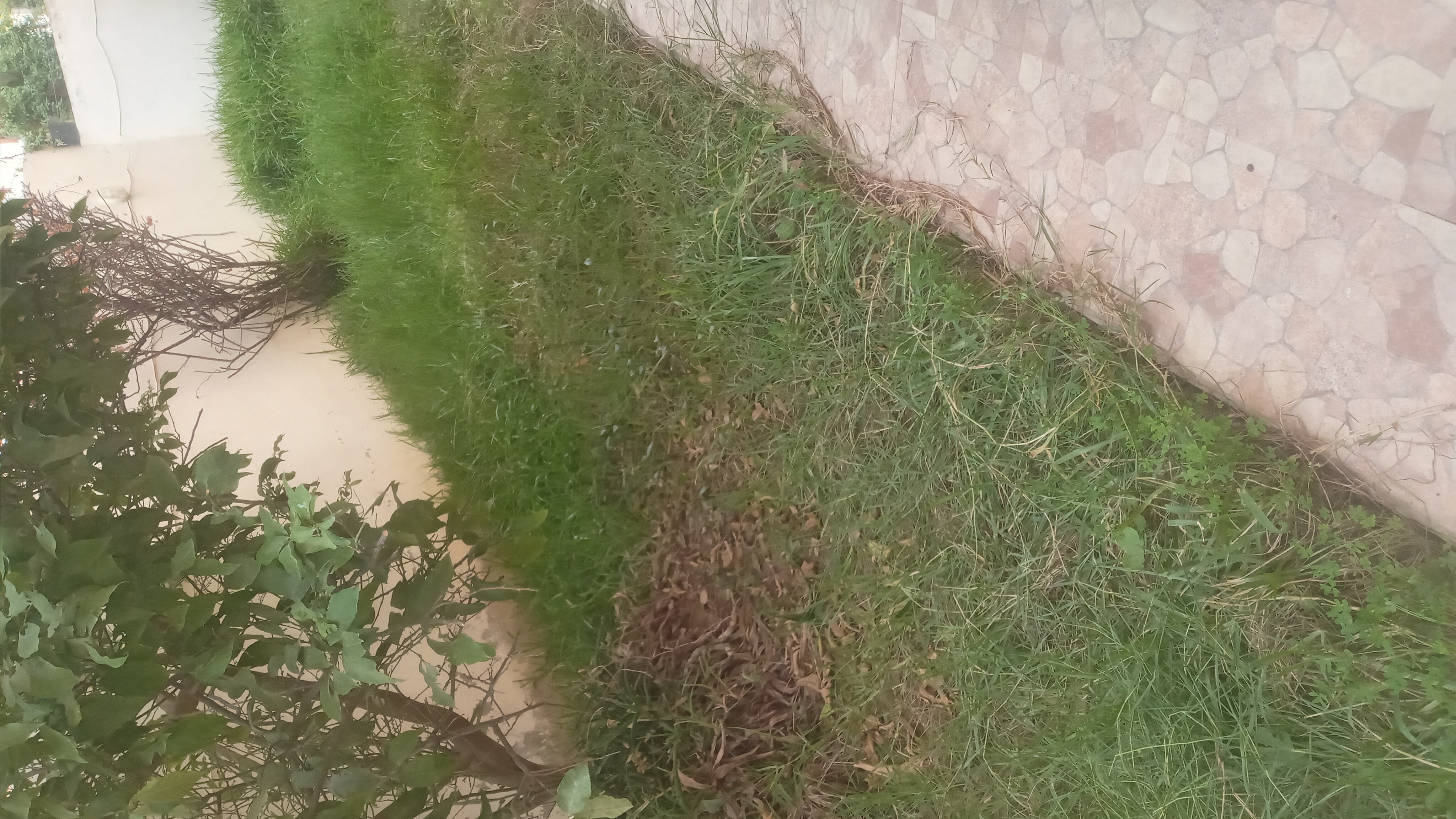 La Soukra La Soukra Location Appart. 4 pices S3 avec jardin soukra