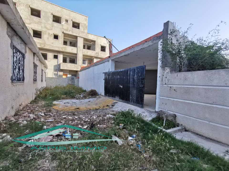 Kelibia Kelibia Vente Maisons Vt676 maison 319 m2 iacheve  kelibia