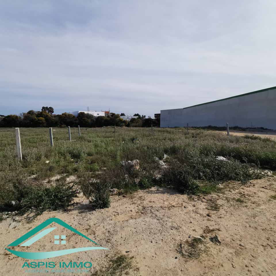 Kelibia Kelibia Vente Surfaces Vt715 terrain 302 m2  cit el bostene kelibia