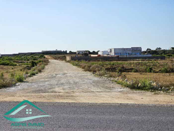 Kelibia Kelibia Vente Surfaces Vt736 terrain 2835 m2 sur la route  kelibia