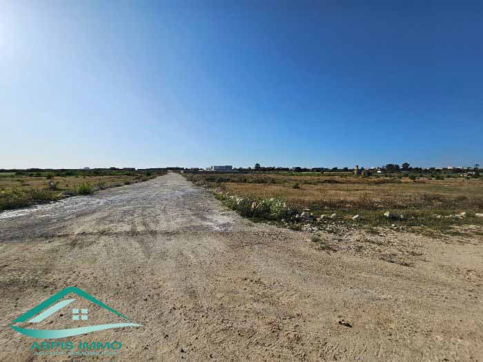 Kelibia Kelibia Vente Surfaces Vt736 terrain 2835 m2 sur la route  kelibia