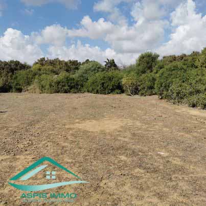 Kelibia Kelibia Vente Surfaces Vt758 terrain agricole 7226 m2  kelibia