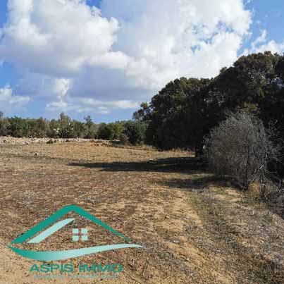 Kelibia Kelibia Vente Surfaces Vt758 terrain agricole 7226 m2  kelibia