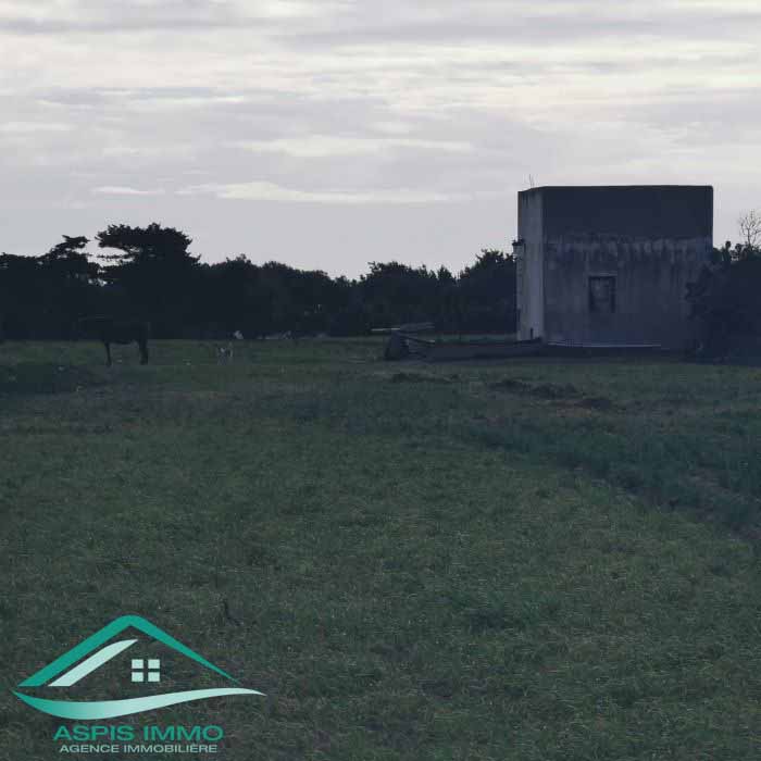 Hammam El Ghezaz Hammam El Ghezaz Vente Surfaces Vt778 terrain agricole 5396 m2  hamam ghzez