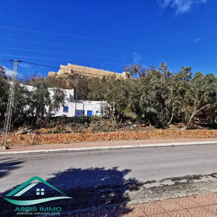 Kelibia Kelibia Vente Surfaces Vt780 terrain 290 m2 en face de fort kelibia