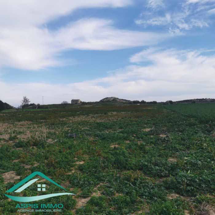 Menzel Temime Menzel Temime Vente Surfaces Vt790 terrain agricole 5966 m2  menzel temim