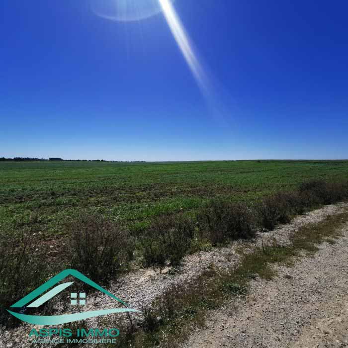 Kelibia Kelibia Vente Surfaces Vt804 terrain  wed khatf kelibia