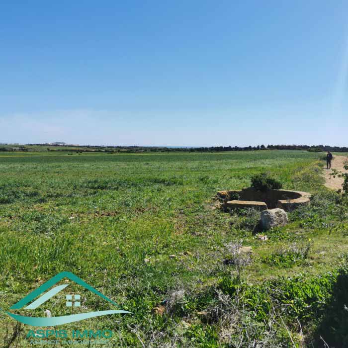 Kelibia Kelibia Vente Surfaces Vt804 terrain  wed khatf kelibia