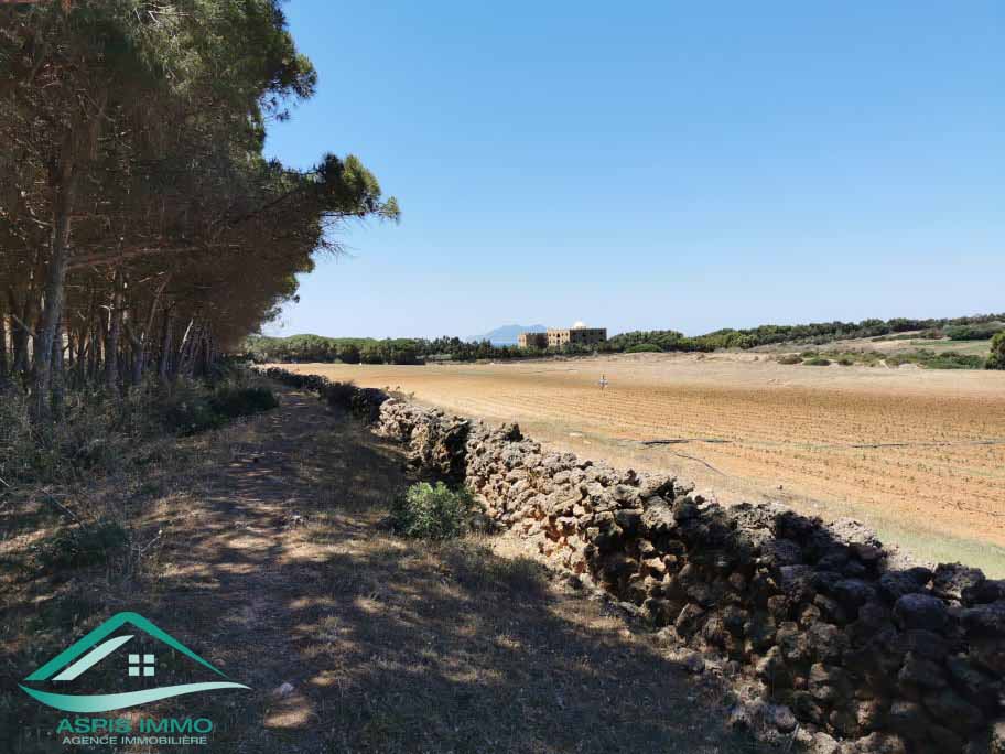 El Haouaria Sidi Daoud Vente Surfaces Vt809 terrain agricole  sidi daoued hawaria