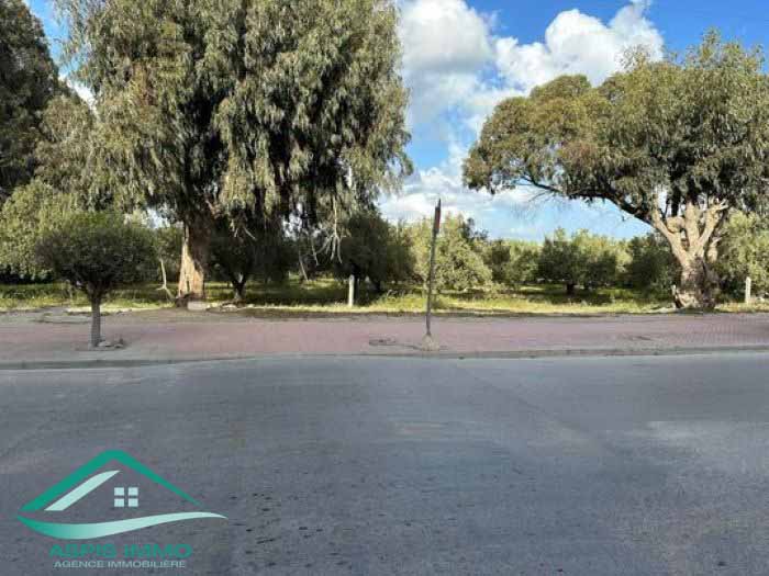 Kelibia Kelibia Vente Surfaces Vt812 terrain commercial 580 m2  kelibia