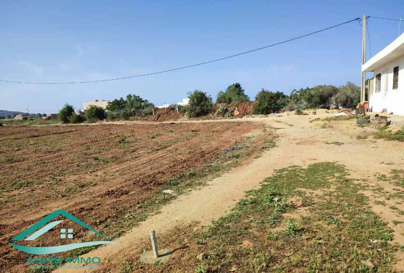Kelibia Kelibia Vente Surfaces Vt823 terrain 166 m2   kelibia