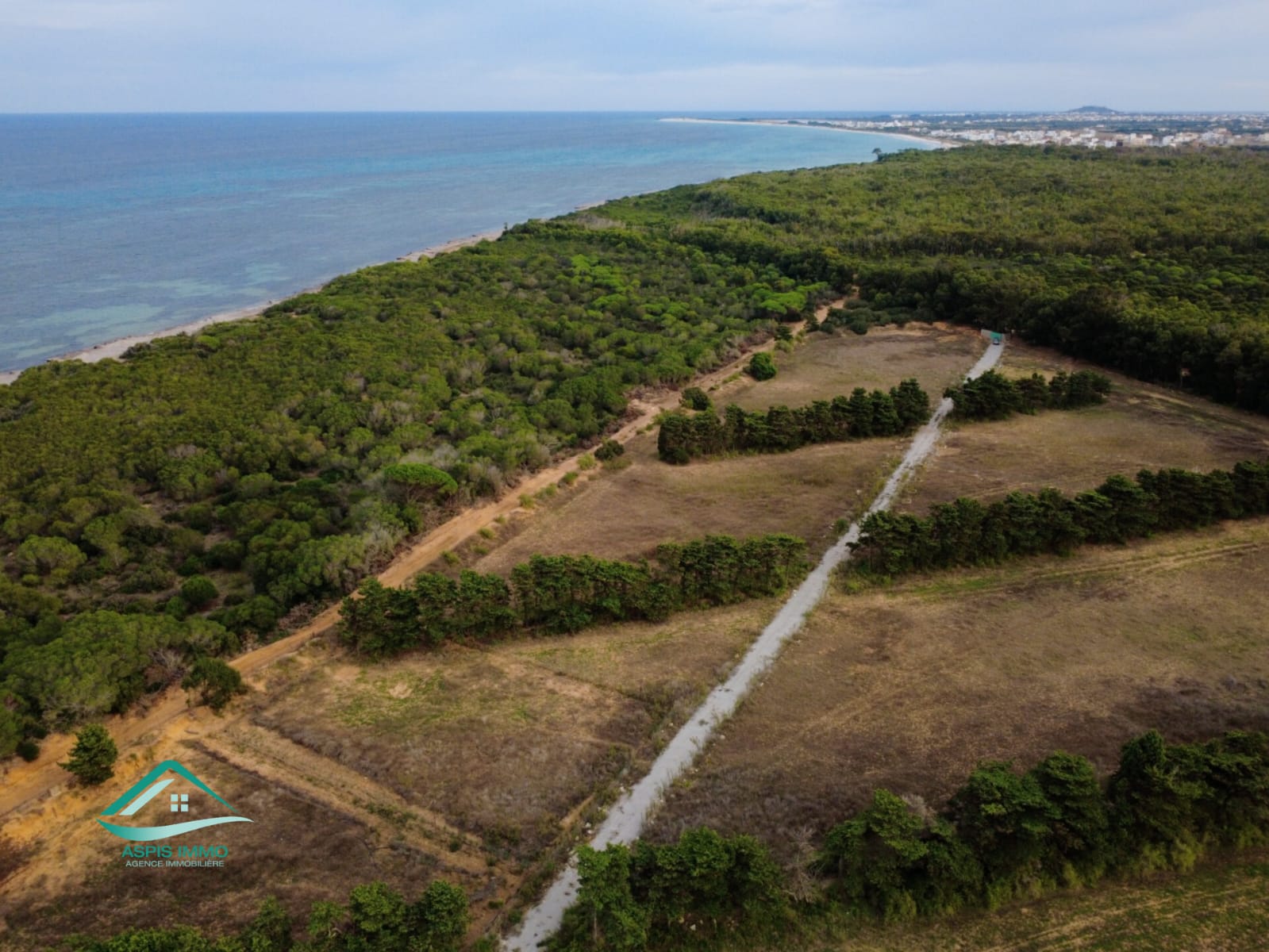 Kelibia Kerkouane Vente Surfaces Vt825 terrain 1149 m2  kerkouene